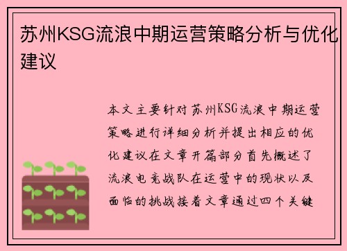 苏州KSG流浪中期运营策略分析与优化建议